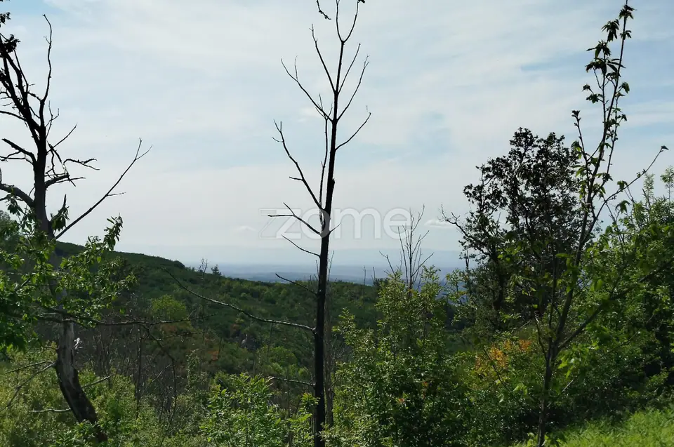 Terreno para venda na Serra da Estrela com ruína para reabilitar — imagem 13