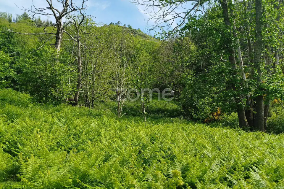 Terreno para venda na Serra da Estrela com ruína para reabilitar — imagem 29
