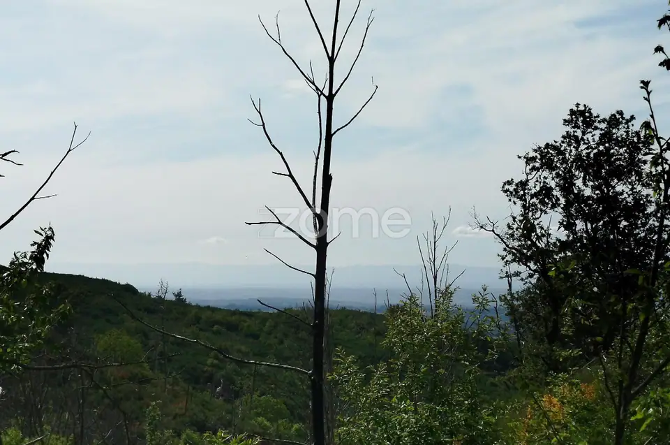 Terreno para venda na Serra da Estrela com ruína para reabilitar — imagem 18