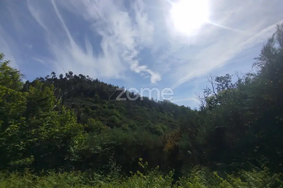 Terreno para venda na Serra da Estrela com ruína para reabilitar — imagem 3