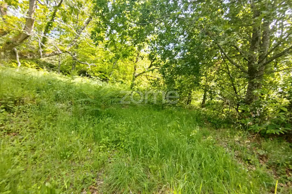 Terreno para venda na Serra da Estrela com ruína para reabilitar — imagem 11