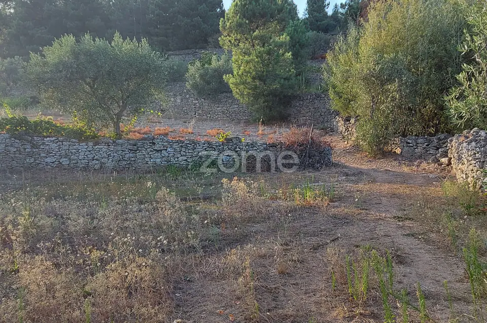 Quinta na Portelinha - Moimenta Da Beira — imagem 2