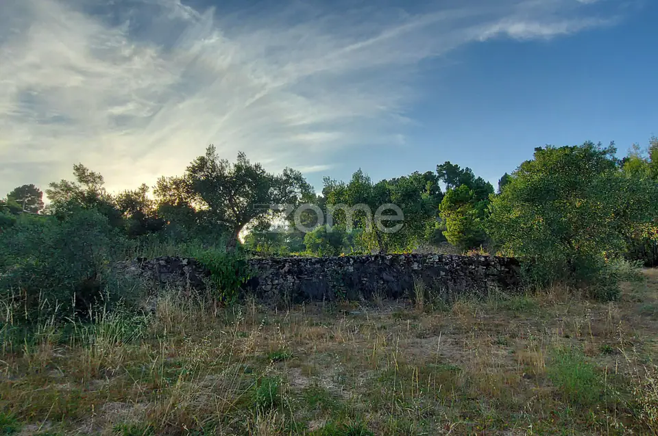 Quinta na Portelinha - Moimenta Da Beira — imagem 5