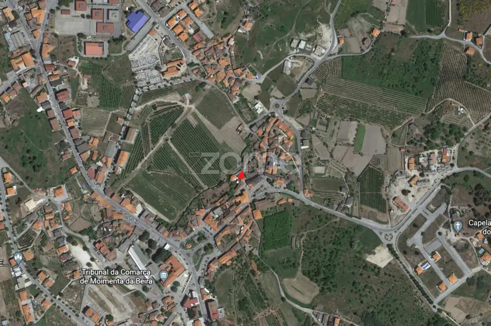 Quinta na Portelinha - Moimenta Da Beira — imagem 7