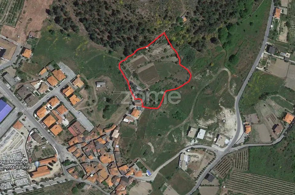 Quinta na Portelinha - Moimenta Da Beira — imagem 6