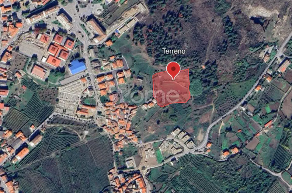 Quinta na Portelinha - Moimenta Da Beira — imagem 17