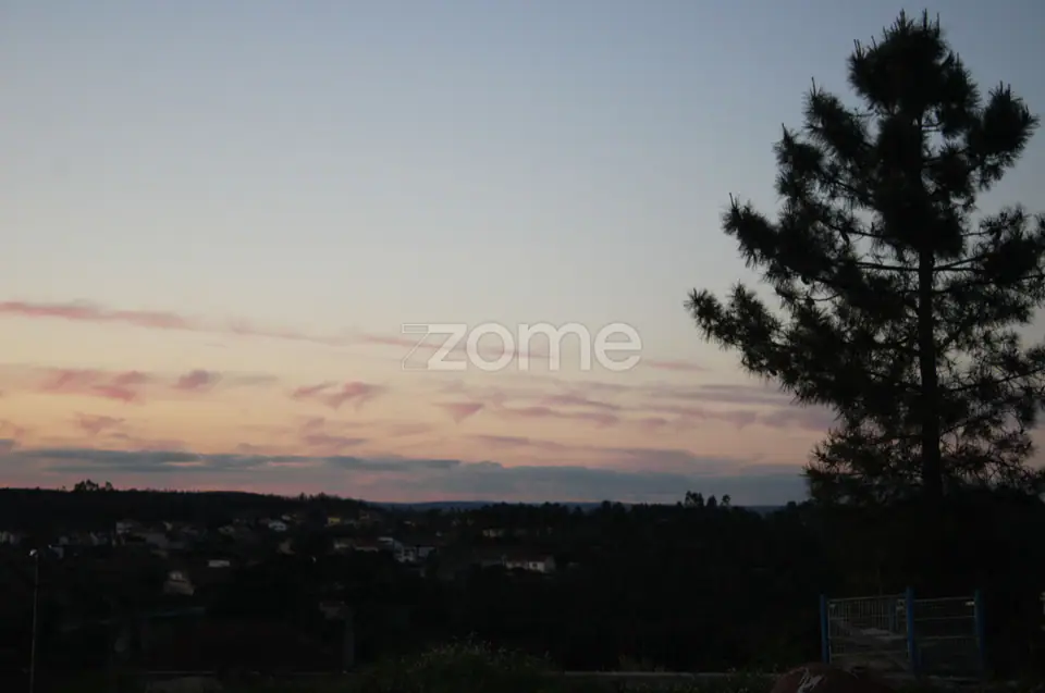 Quinta na Portelinha - Moimenta Da Beira — imagem 11