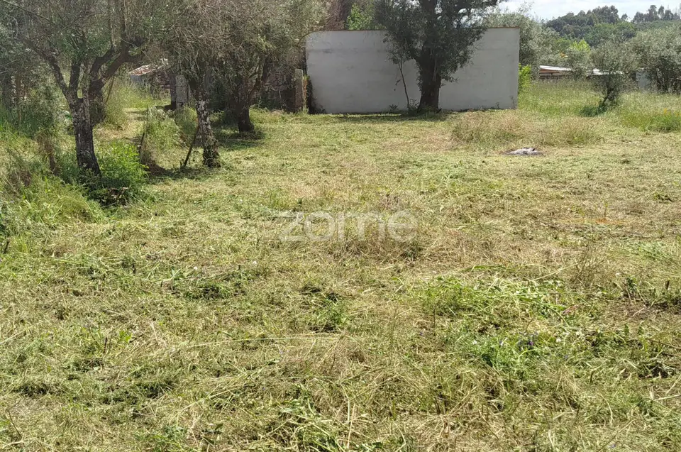 🏡 Refúgio Beirão com Alma Rústica – Casa de Pedra — imagem 31