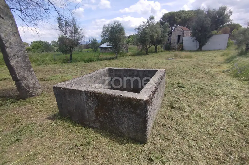 🏡 Refúgio Beirão com Alma Rústica – Casa de Pedra — imagem 24