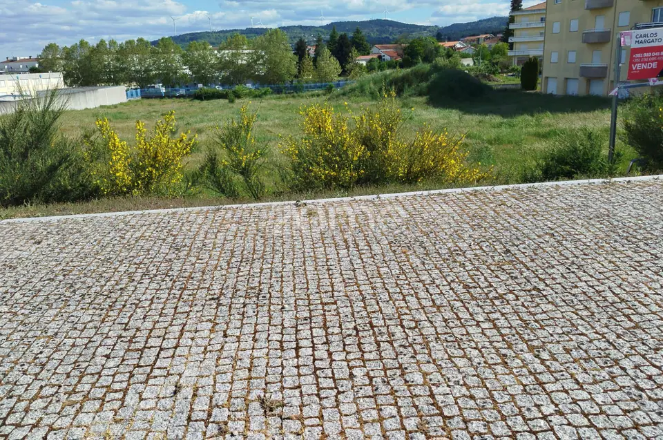 🏗️ INVESTIMENTO INTELIGENTE EM MOIMENTA DA BEIRA – LOTE URBANO — imagem 25