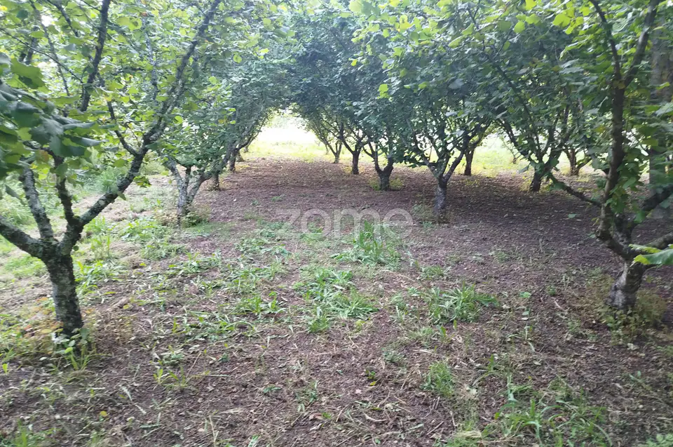 🌿 Terreno à venda – Bairro Do Pereiro, Viseu 🌿 — imagem 16