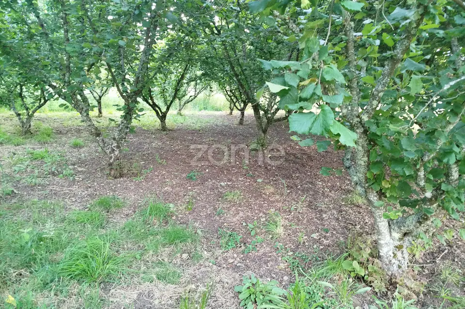 🌿 Terreno à venda – Bairro Do Pereiro, Viseu 🌿 — imagem 4