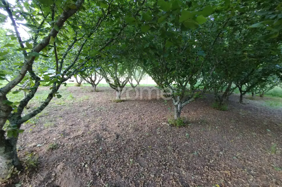 🌿 Terreno à venda – Bairro Do Pereiro, Viseu 🌿 — imagem 11