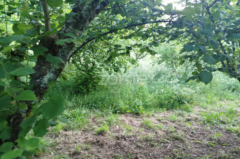 🌿 Terreno à venda – Bairro Do Pereiro, Viseu 🌿 — imagem 14