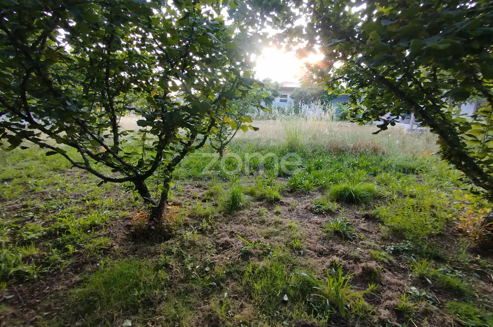 🌿 Terreno à venda – Bairro Do Pereiro, Viseu 🌿 — imagem 9