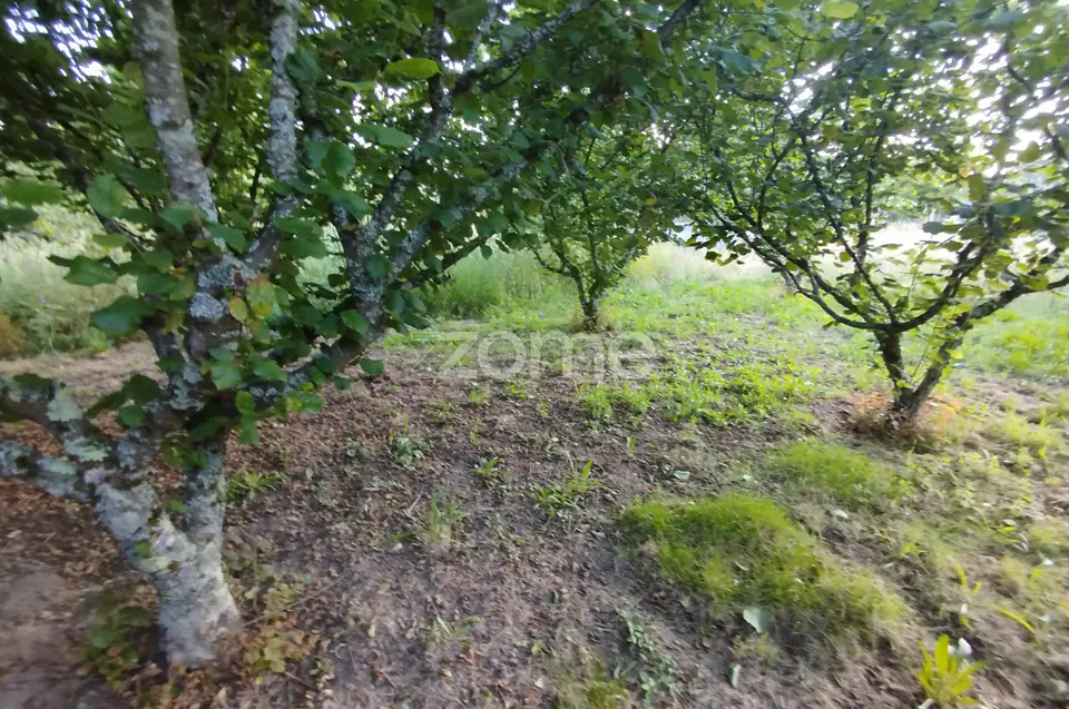 🌿 Terreno à venda – Bairro Do Pereiro, Viseu 🌿 — imagem 6