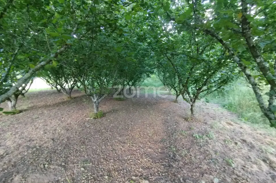 🌿 Terreno à venda – Bairro Do Pereiro, Viseu 🌿 — imagem 10