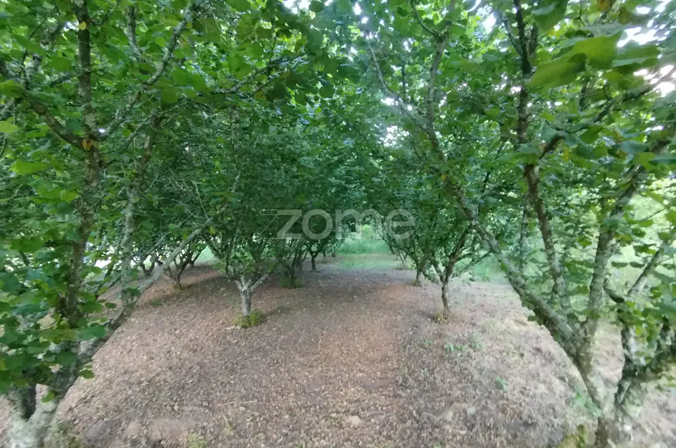 🌿 Terreno à venda – Bairro Do Pereiro, Viseu 🌿 — imagem 8