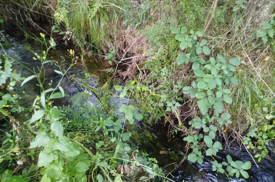 🌿 Terreno à venda – Bairro Do Pereiro, Viseu 🌿 — imagem 18