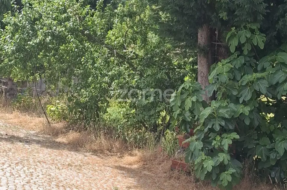 Moradia Nova 🏡 Encantadora Casa de Campo em Pedra – Póvoa Velha — imagem 30