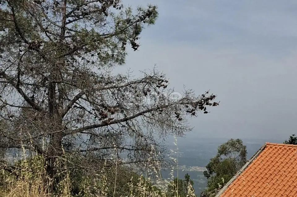 Moradia Nova 🏡 Encantadora Casa de Campo em Pedra – Póvoa Velha — imagem 33