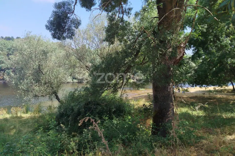 TERRENO COM FRENTE DE RIO - MONDEGO — imagem 6