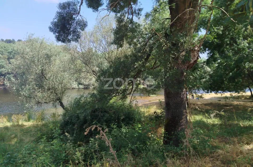 TERRENO COM FRENTE DE RIO - MONDEGO — imagem 4