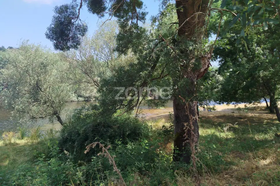 TERRENO COM FRENTE DE RIO - MONDEGO — imagem 10