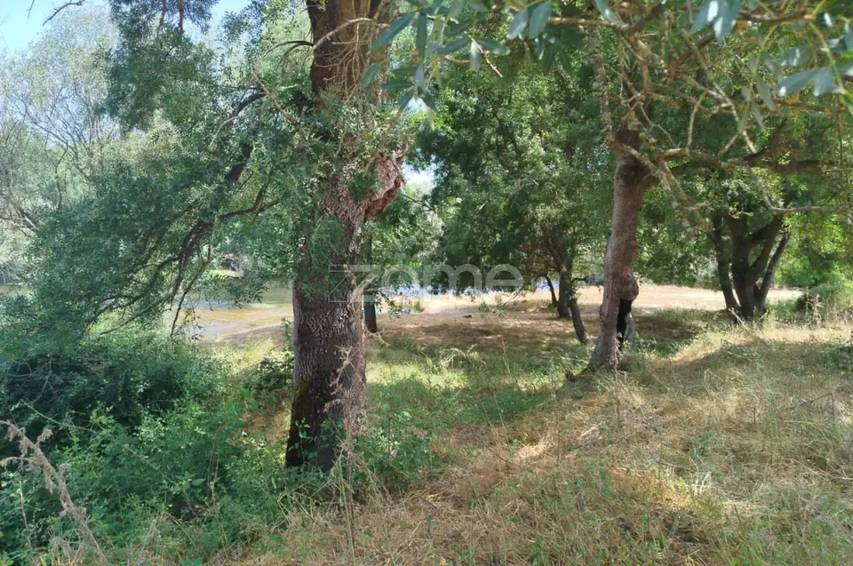 TERRENO COM FRENTE DE RIO - MONDEGO — imagem 2