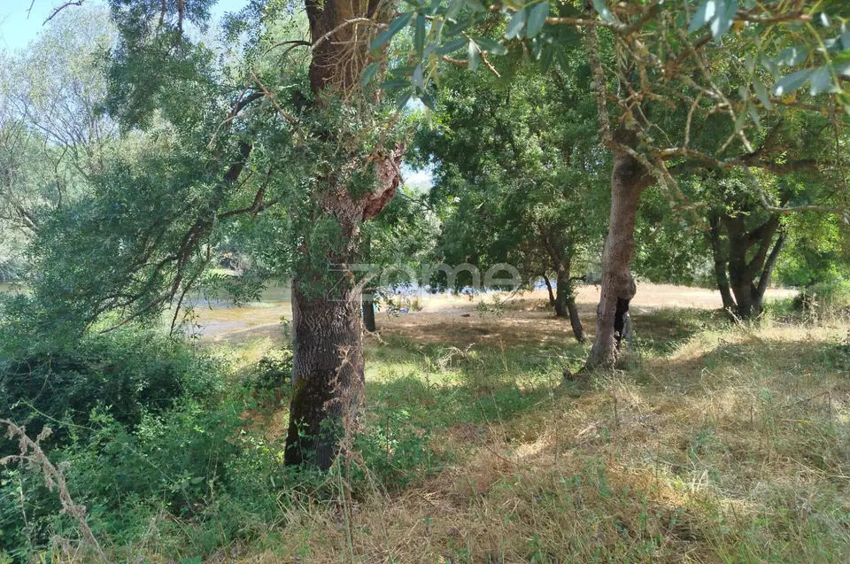 TERRENO COM FRENTE DE RIO - MONDEGO — imagem 9