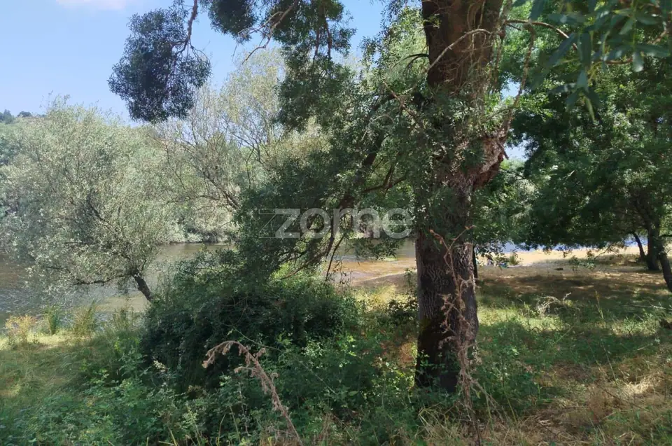 TERRENO COM FRENTE DE RIO - MONDEGO — imagem 3