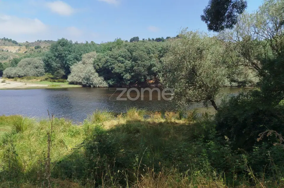 TERRENO COM FRENTE DE RIO - MONDEGO — imagem 8