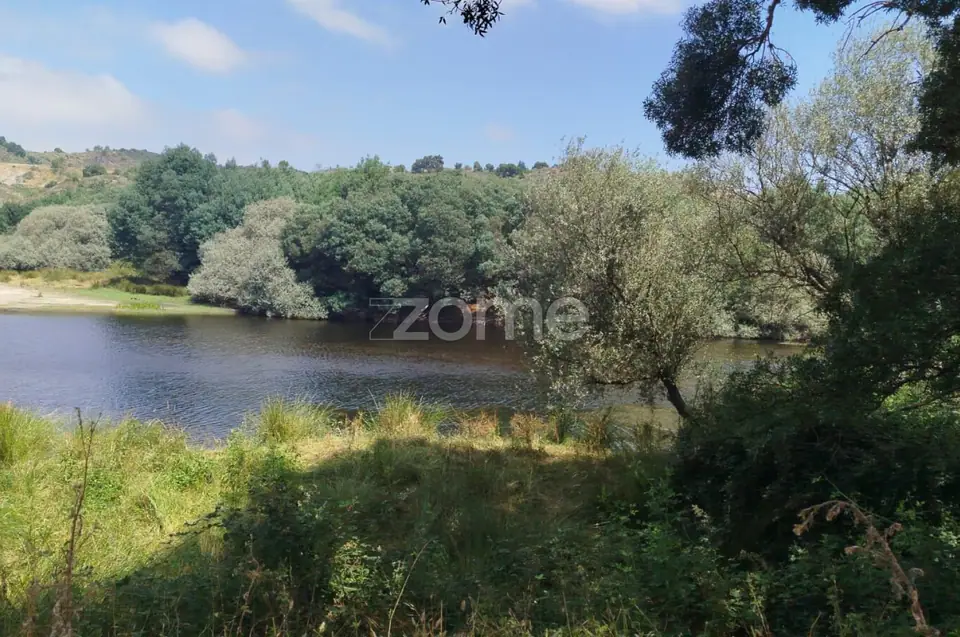 TERRENO COM FRENTE DE RIO - MONDEGO — imagem 7