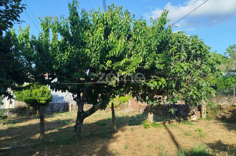 Moradia em Pedra com quintal em Matados, a 5 minutos Mangualde — imagem 23