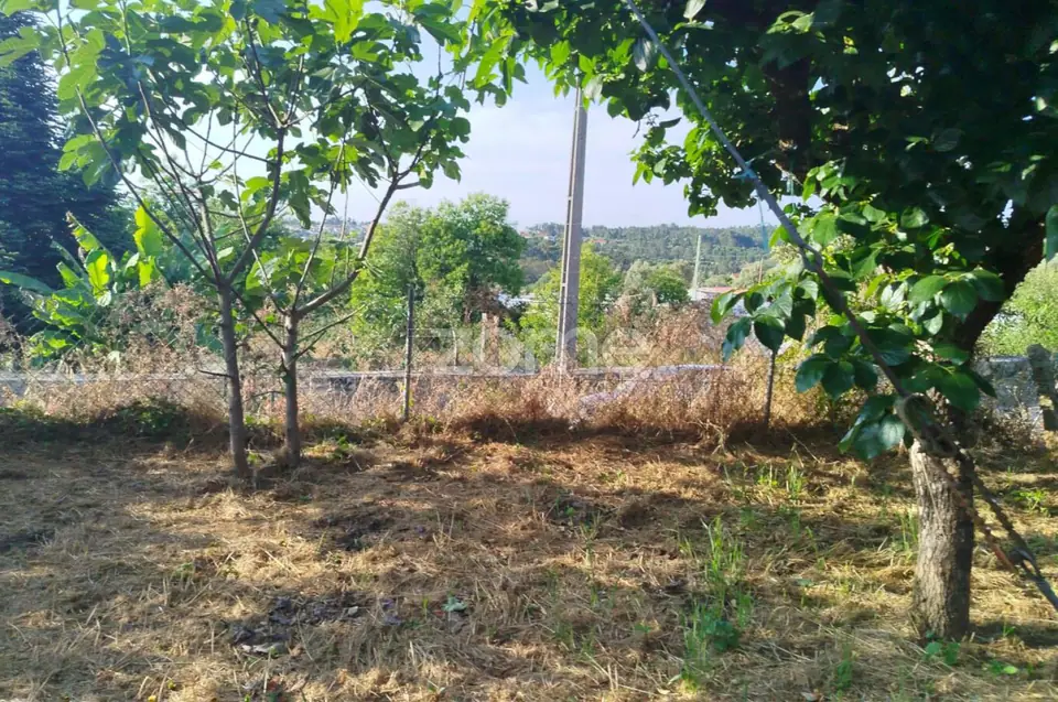 Moradia em Pedra com quintal em Matados, a 5 minutos Mangualde — imagem 18