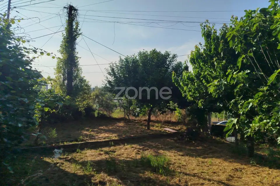 Moradia em Pedra com quintal em Matados, a 5 minutos Mangualde — imagem 12
