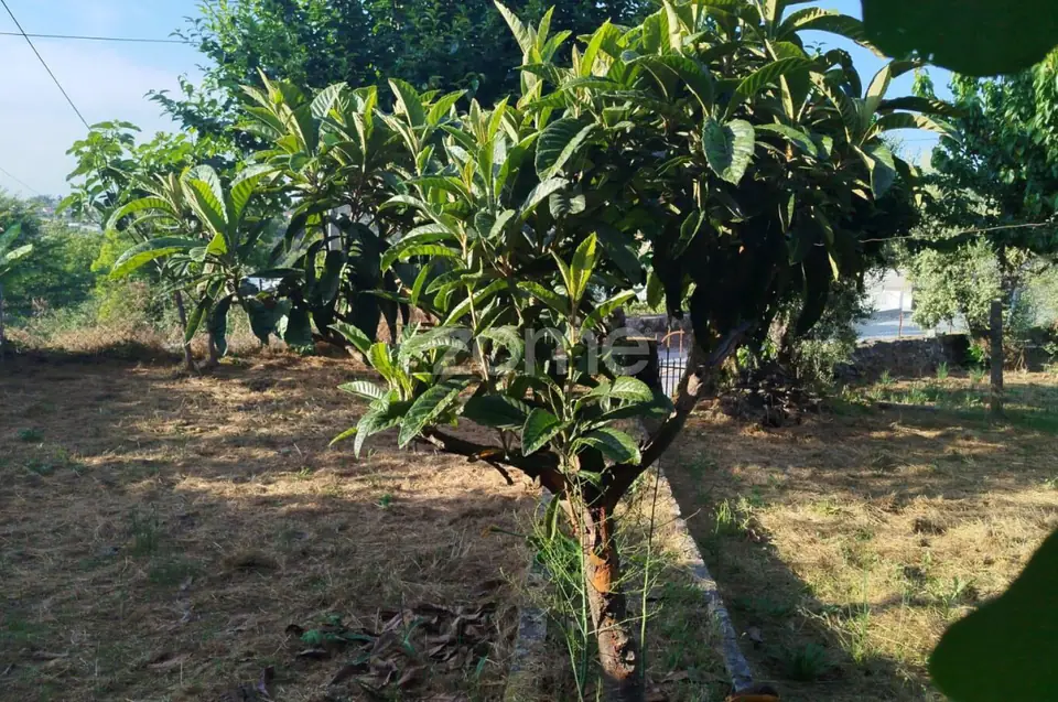 Moradia em Pedra com quintal em Matados, a 5 minutos Mangualde — imagem 21