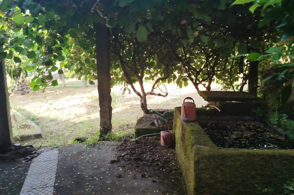 Moradia em Pedra com quintal em Matados, a 5 minutos Mangualde — imagem 14