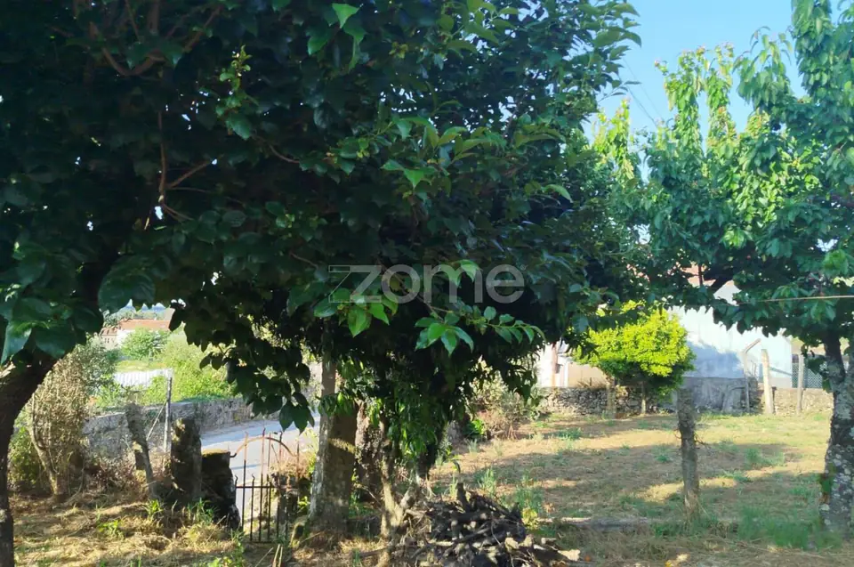 Moradia em Pedra com quintal em Matados, a 5 minutos Mangualde — imagem 25