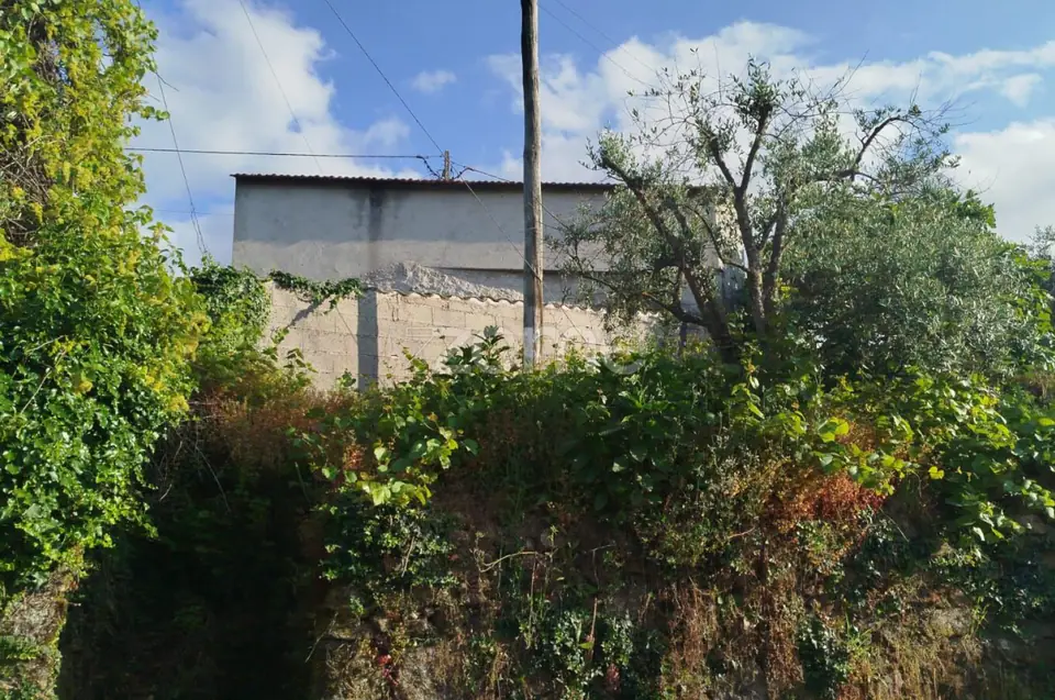 Moradia em Pedra com quintal em Matados, a 5 minutos Mangualde — imagem 5