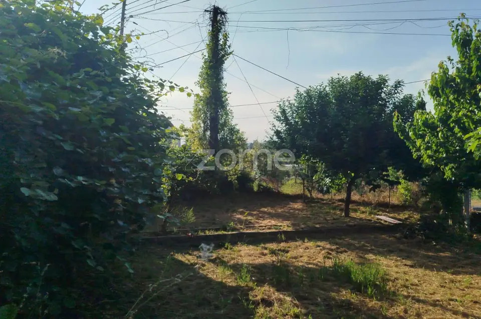 Moradia em Pedra com quintal em Matados, a 5 minutos Mangualde — imagem 11