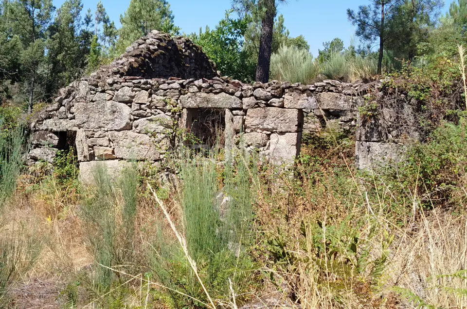 Ruína em Pedra, Palheiro escavado em pedras — imagem 32