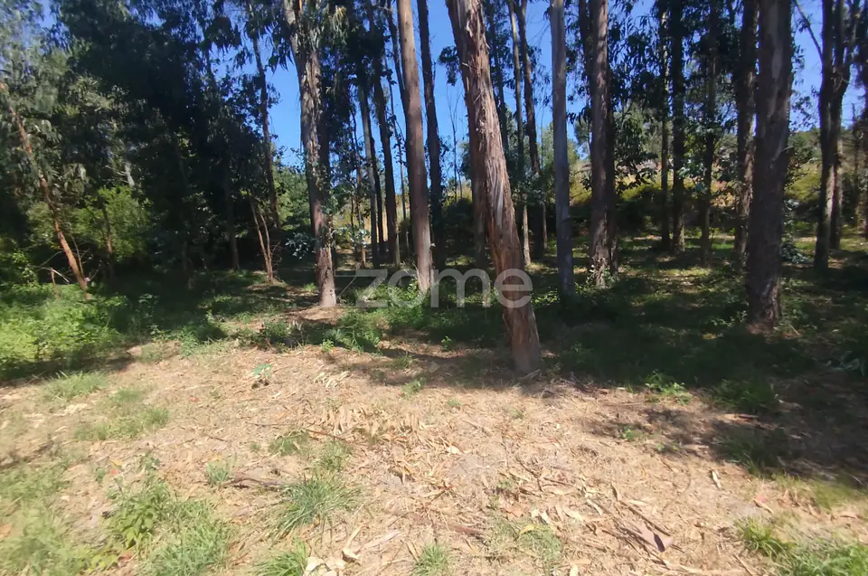 Ruína em Pedra, Palheiro escavado em pedras — imagem 28
