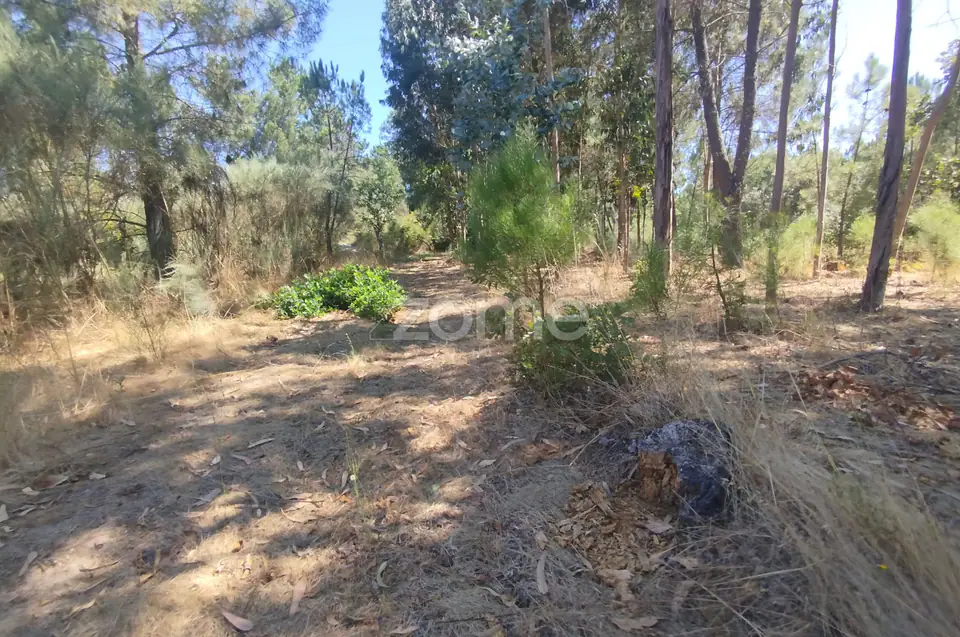 Ruína em Pedra, Palheiro escavado em pedras — imagem 33