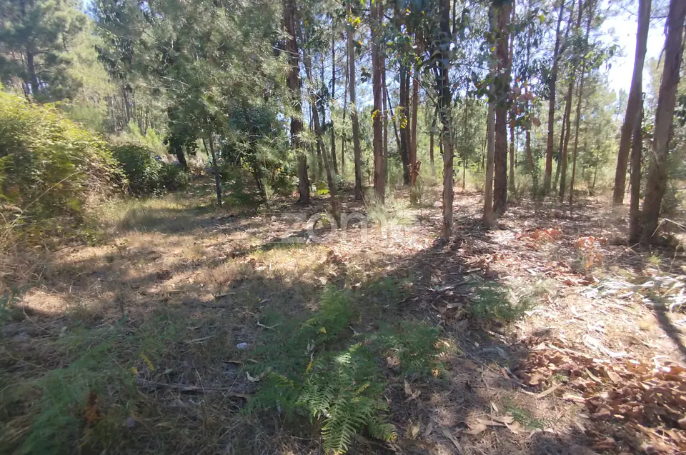 Ruína em Pedra, Palheiro escavado em pedras — imagem 41