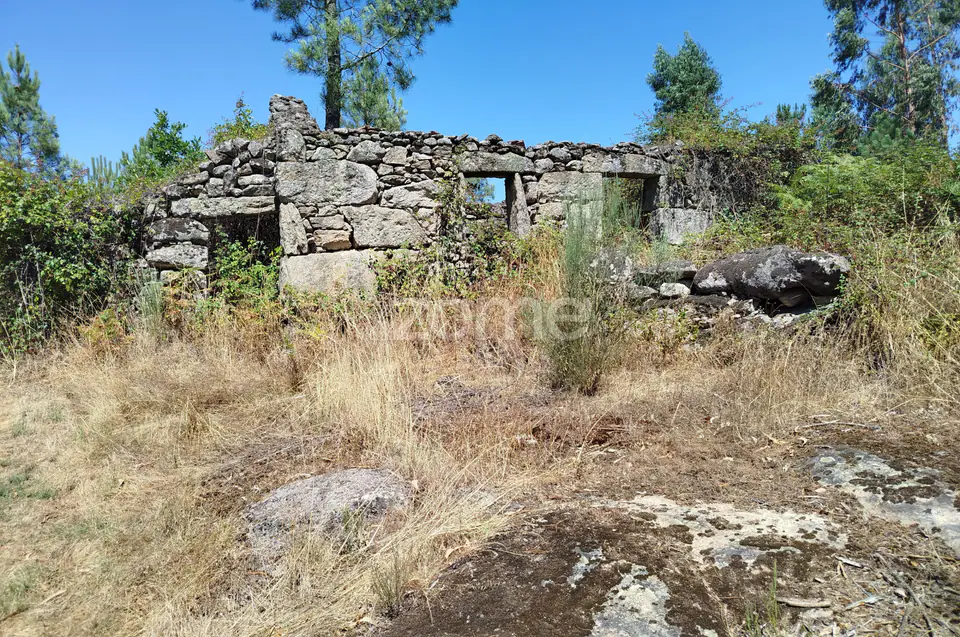 Ruína em Pedra, Palheiro escavado em pedras — imagem 25