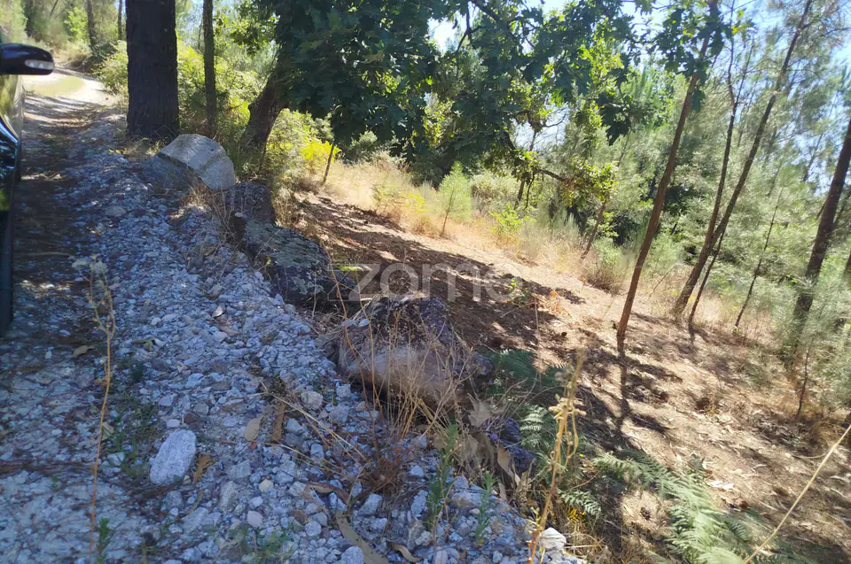Ruína em Pedra, Palheiro escavado em pedras — imagem 43
