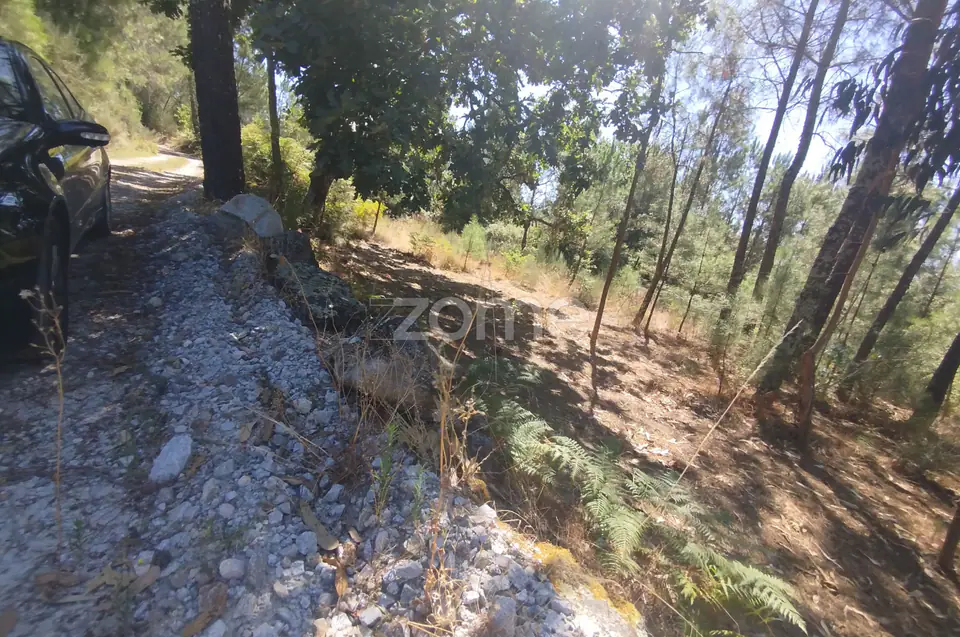 Ruína em Pedra, Palheiro escavado em pedras — imagem 45
