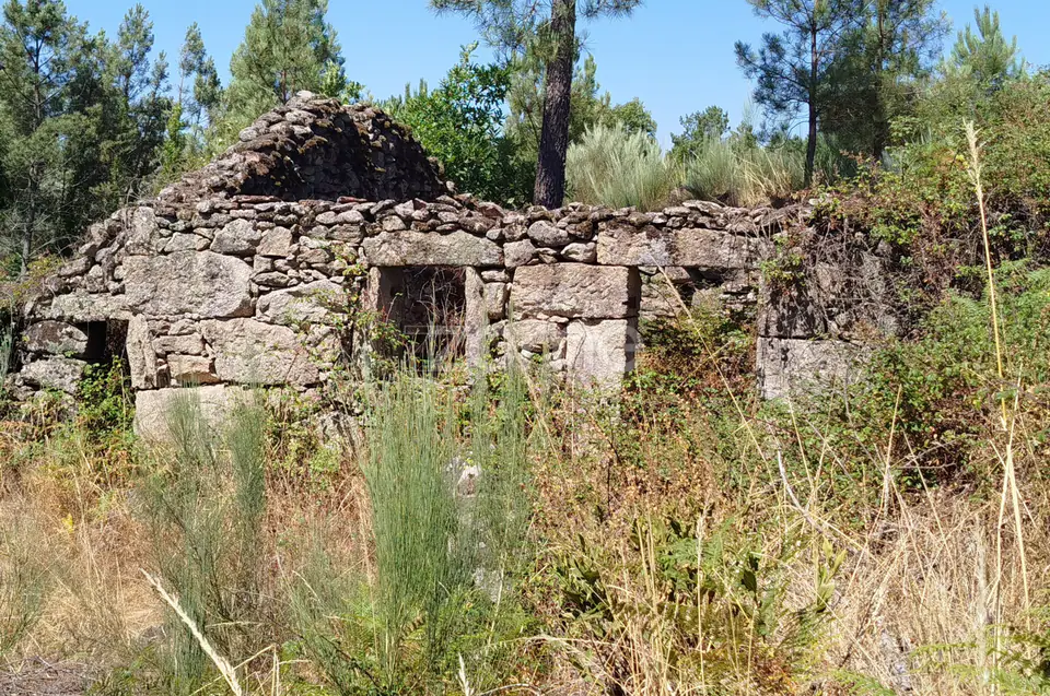 Ruína em Pedra, Palheiro escavado em pedras — imagem 31