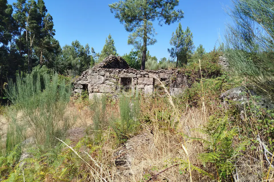 Ruína em Pedra, Palheiro escavado em pedras — imagem 1
